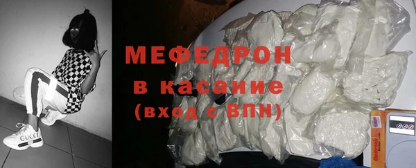 индика Абаза