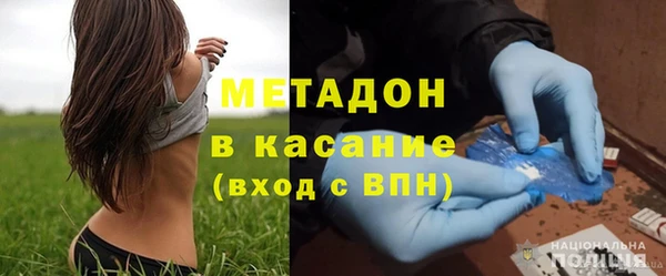индика Абаза