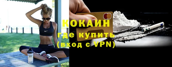индика Абаза