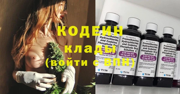 индика Абаза