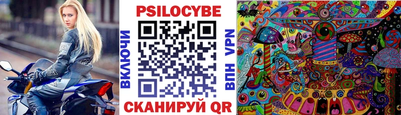 купить закладку  ссылка на мегу онион  Галлюциногенные грибы Psilocybine cubensis  Анадырь 